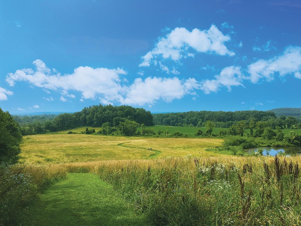 two people off in the distance walking on a grassy trail through a meadow in late summer
