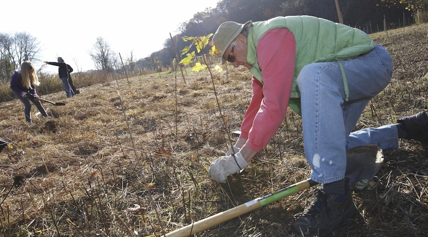 a man wearing a hat and a puffy vest and jeans leaning on the ground planting a tree
